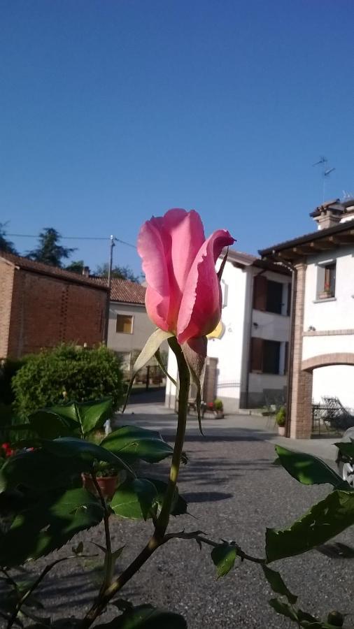 Gli Acini Bed & Breakfast Pietra dei Giorgi Exterior foto